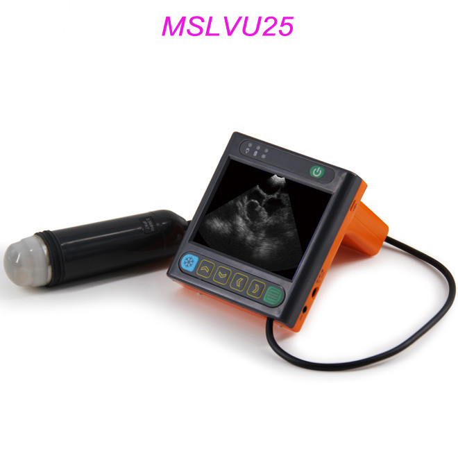 Enstriman dyagnostik ultrasons dijital konplè pou veterinè AMVU25