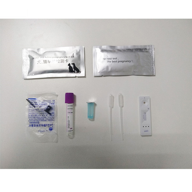 Kit de proba de detección de embarazo canino e felino AMDH01