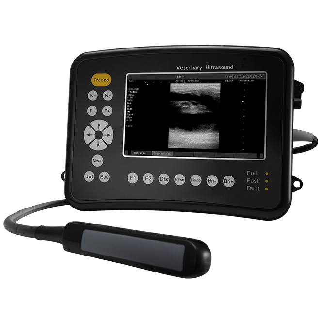 Makina ng ultrasound ng aso AMVU26