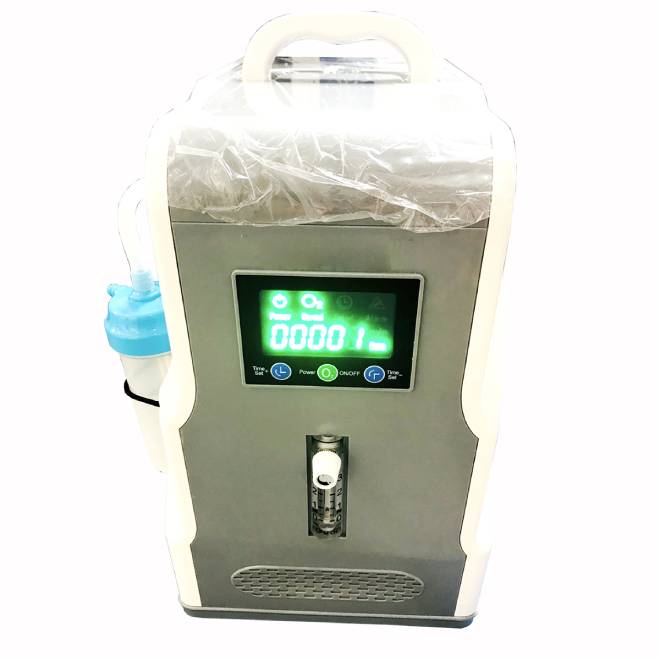 Concentrateur d'oxygène médical portable Stock AMJY41