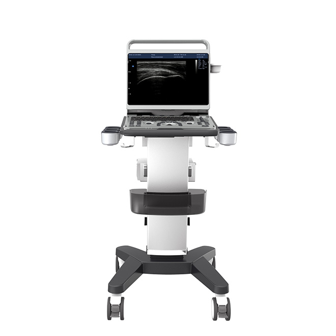 Effisjinte brûkberens Chison ultrasound masine EBit50Vet