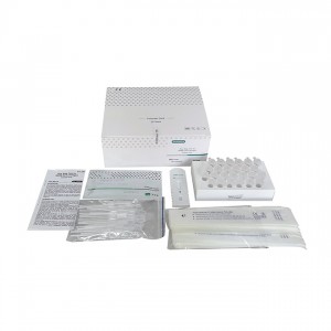 Authoritative Antigen quick test kit AMDNA10