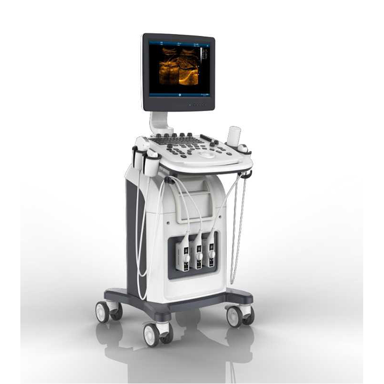 ZONCARE ZQ-9902 Medical Instrumenta Ultrasound cum B/W Trolley Ultrasound System