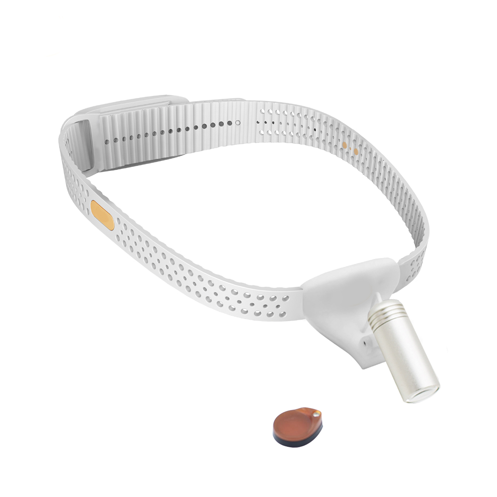 AMAIN OEM/ODM Bezdrátový světlomet AMHL13 s lehkou a dobíjecí baterií LED lékařský zubní lékařský světlomet