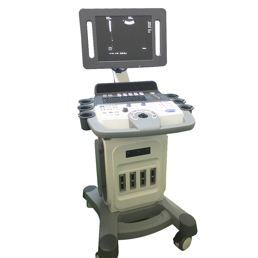 AMAIN Cosmos C10 visa skaitmeninė veterinarijos ultragarso sistema